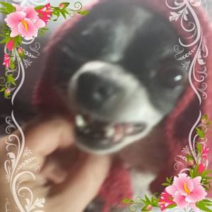 Meet your Posher, Alta